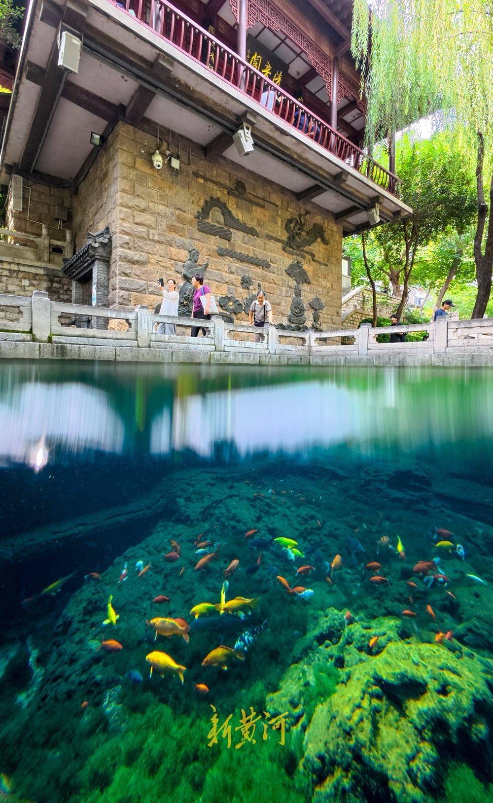 波多黎各职业女子篮球联赛_喷涌势头旺盛波多黎各职业女子篮球联赛，济南黑虎泉将迎恢复喷涌22周年