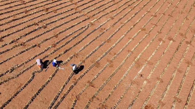 斯洛文尼亚 vs 瑞典_哈萨克斯坦携手中国企业共治荒漠化