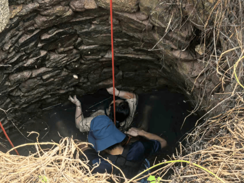 皇冠会员如何申请_多条蛇缠身皇冠会员如何申请,女子被咬了也不敢动!深井内苦撑54小时后……