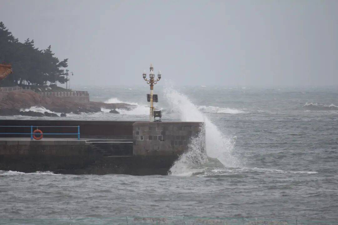 信用网怎么开户_暴雨、大风、大浪来袭信用网怎么开户！青岛市发布防汛预警！