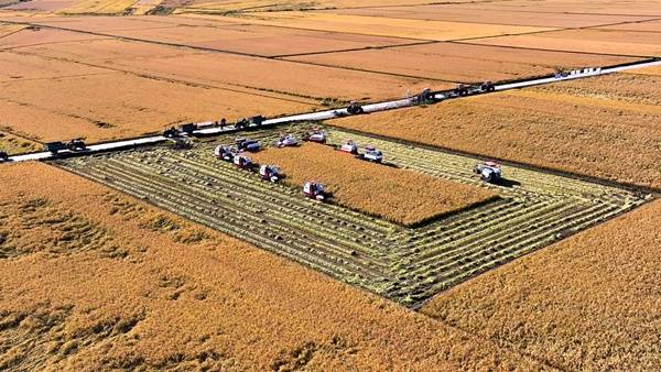 信用网怎么开户_2025中国农民丰收节——铁力市“庆丰收・悦奔跑”欢乐跑活动启幕