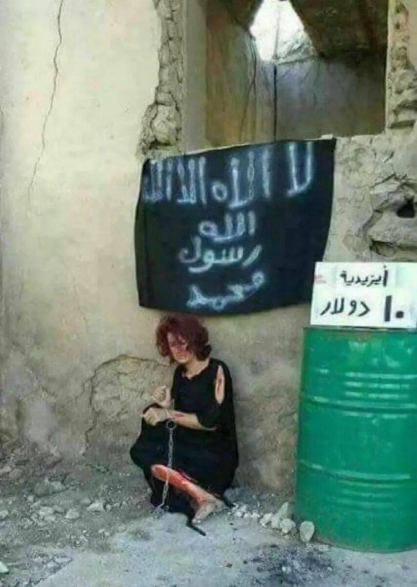 皇冠信用网怎么代理_美国迎来一位最特殊客人皇冠信用网怎么代理,世界哭笑不得