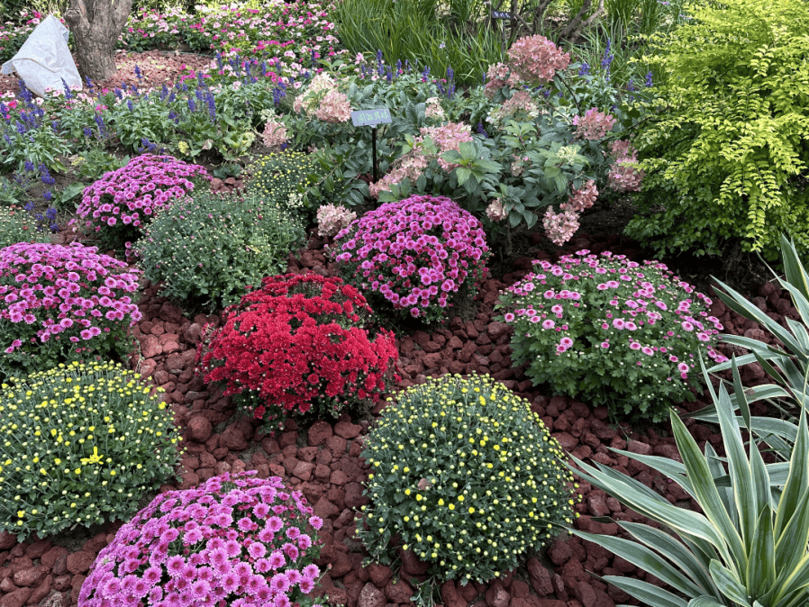 皇冠信用盘平台_本周六将迎阵雨；北京最大山姆会员店即将开业；北京最大公园来啦丨朝闻北京