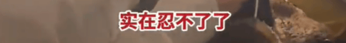 皇冠信用网出租_高铁上因邻座男童长时间踢座皇冠信用网出租，女子写管不住小孩别带，被家长怼哭