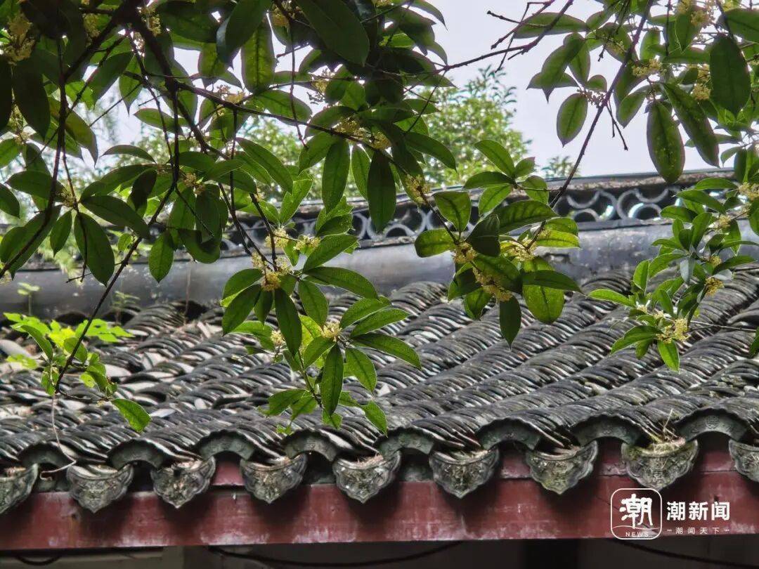 皇冠信用网在线申请_进度达70%！杭州即将进入全盛期皇冠信用网在线申请，别错过！