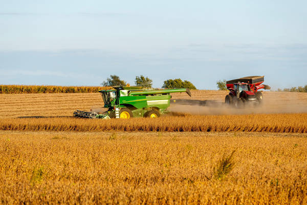 信用网如何申请_丢了中国市场信用网如何申请，美国全球“找补”：印度也买点吧