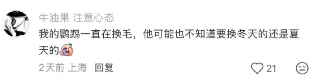 皇冠信用网登123出租_上海：节后气温将冲高至33℃！今夏已长达150天皇冠信用网登123出租，玉兰蔷薇樱花荷花全开了……