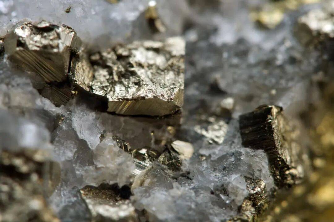 比利时vs北马其顿_刘和平：你不卖面包我就不卖面粉比利时vs北马其顿！中国吹响贸易战全面大反攻号角！