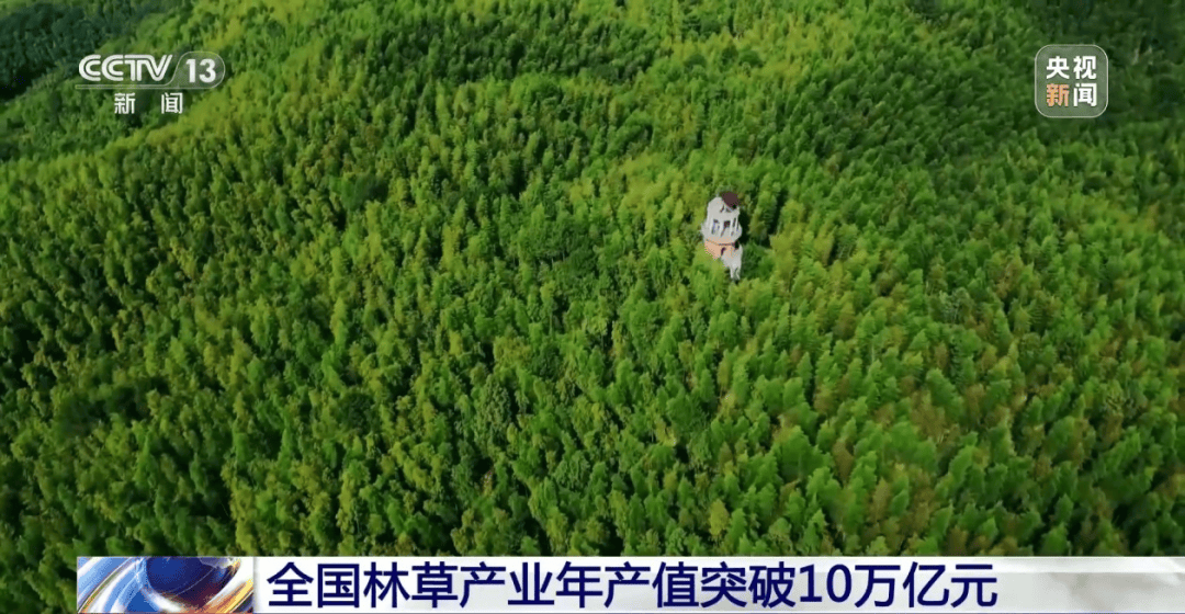 网上买球怎么买_巴基斯坦利用中国技术向美赠送稀土网上买球怎么买？中方回应【看世界·新闻早知道】