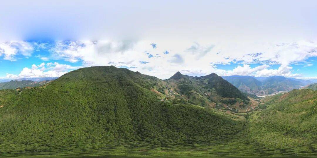 皇冠登3新2管理_93岁老人进山失联皇冠登3新2管理，两天后发现他倒挂在树杈上苦撑……