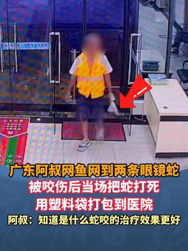 皇冠信用網需要押金吗_广东62岁阿叔网鱼网到2条眼镜蛇皇冠信用網需要押金吗，被咬伤后当场打死，并打包提进医院