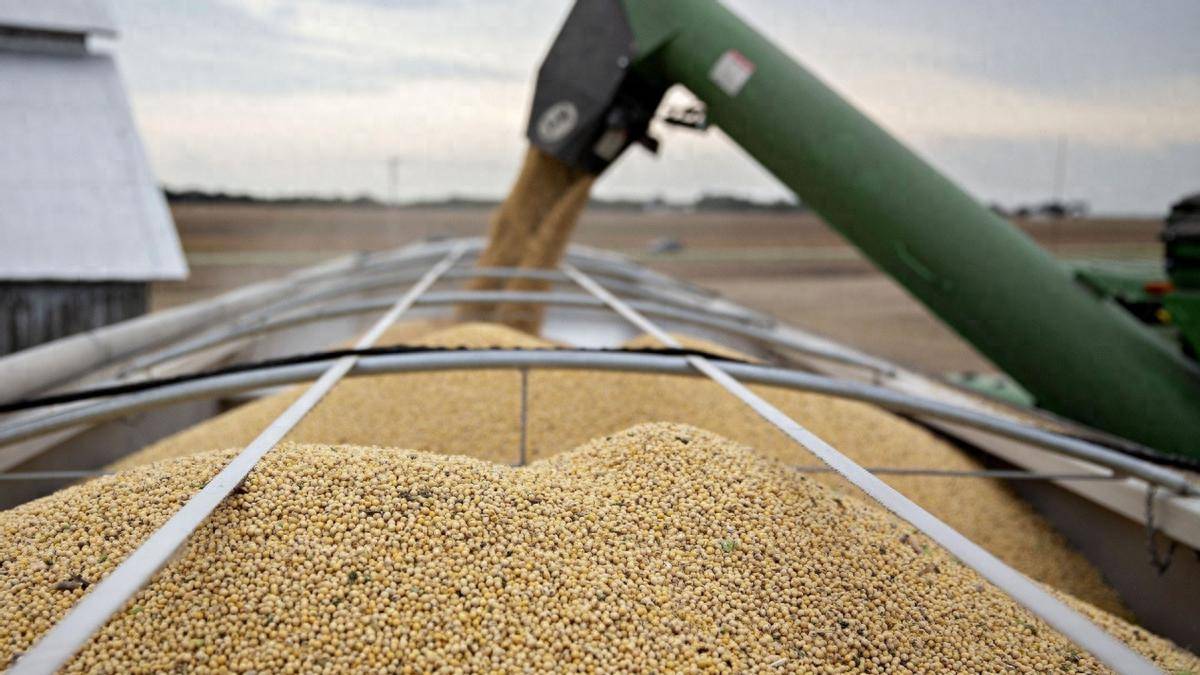 世界杯信用盘代理出租_比美国大豆价格还高世界杯信用盘代理出租，巴西大豆涨价滞港，坐地涨价找错了对象，中国买家集体停购