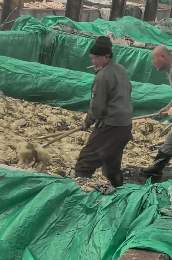 世界杯信用网会员_辽宁葫芦岛一男子酸菜池中抽烟吐痰世界杯信用网会员，曝光视频令人反胃！省市两级市监介入