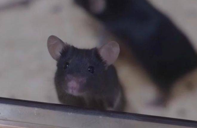 hga035怎么注册账号_神舟二十一号升空！现在的问题是hga035怎么注册账号，导师上天了，组会还开吗？