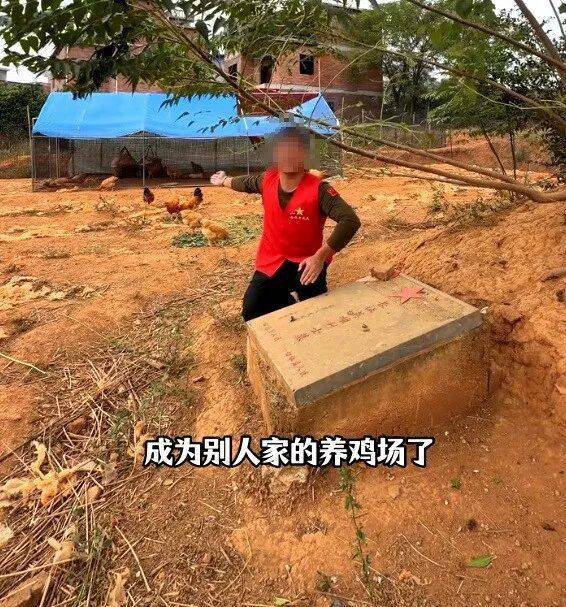 hga026注册
_烈士墓地成为养鸡场hga026注册
?当地政府:已经整改完毕