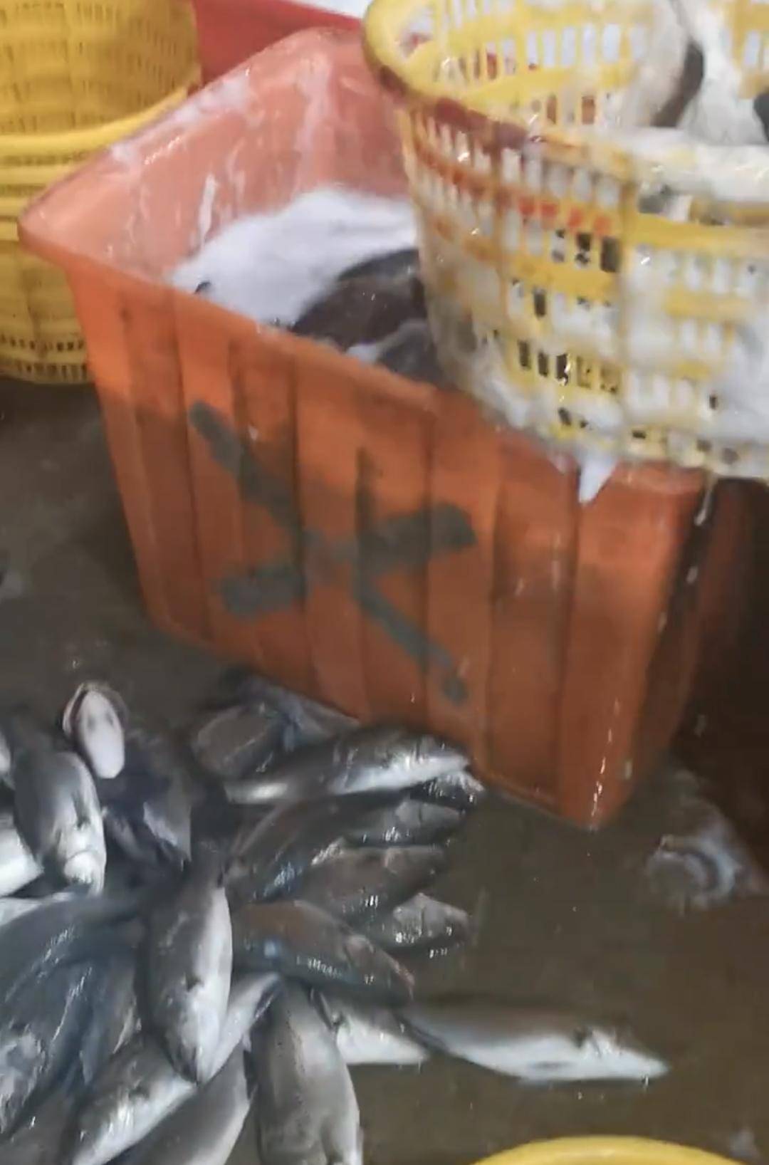 彩票信用盘出租_水产市场“麻醉鱼”调查：有商家称麻药有味会换水再卖彩票信用盘出租，有无危害尚不明，出台监管措施尚缺理论依据