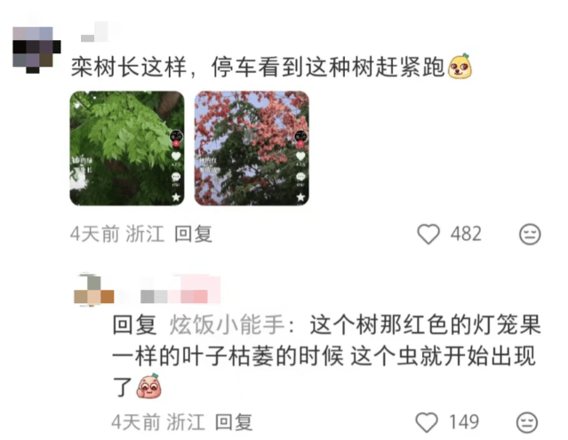 皇冠会员如何申请_汽车被虫子啃得都是窟窿皇冠会员如何申请，“一边咬一边往里钻”！很多人中招