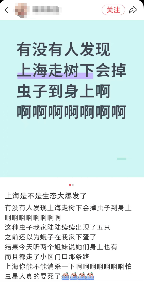 皇冠会员如何申请_汽车被虫子啃得都是窟窿皇冠会员如何申请，“一边咬一边往里钻”！很多人中招