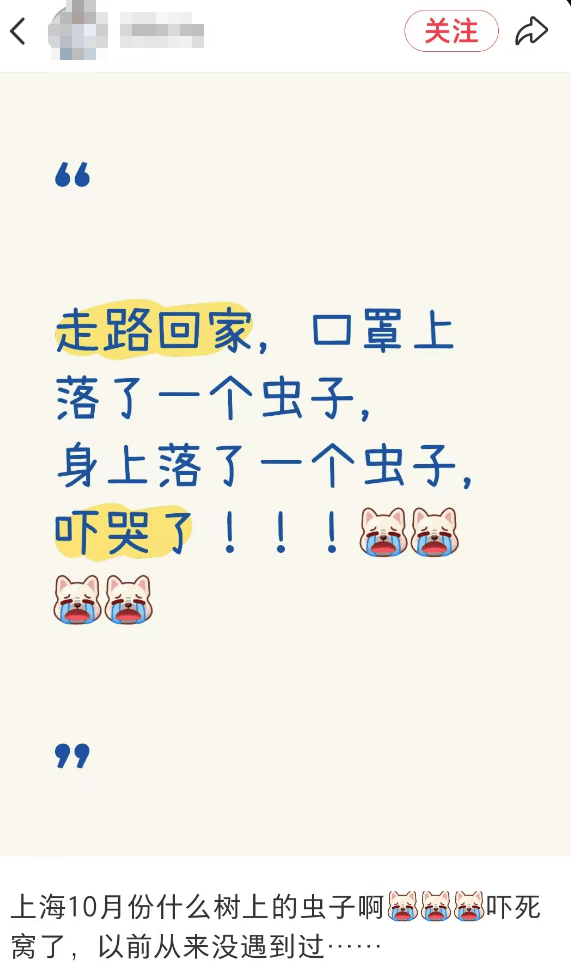 皇冠会员如何申请_汽车被虫子啃得都是窟窿皇冠会员如何申请，“一边咬一边往里钻”！很多人中招