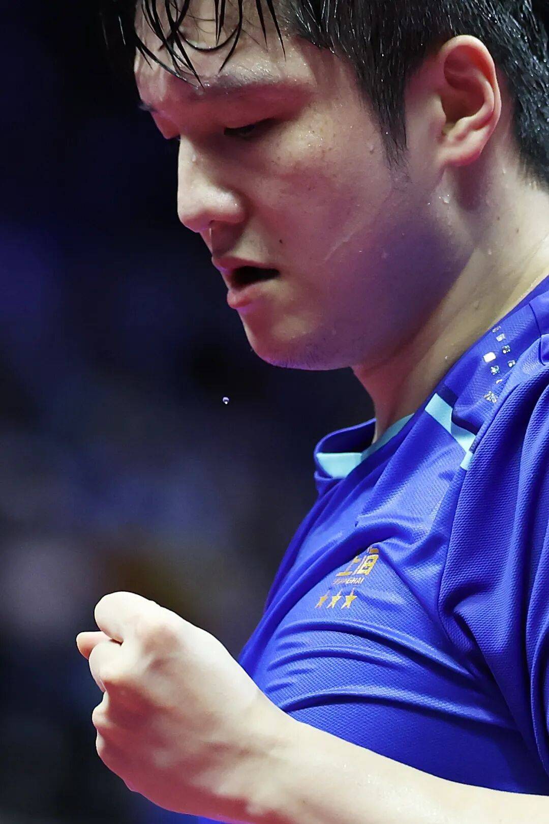 皇冠信用盘在哪里开通_现场｜当樊振东把全运会打成舒适区皇冠信用盘在哪里开通，我们要急着他回来吗？