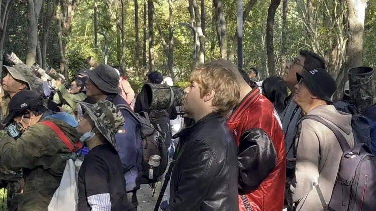 如何代理皇冠信用盘_百年罕见！首次在上海被目击如何代理皇冠信用盘，有人专门从北京“打飞的”赶来