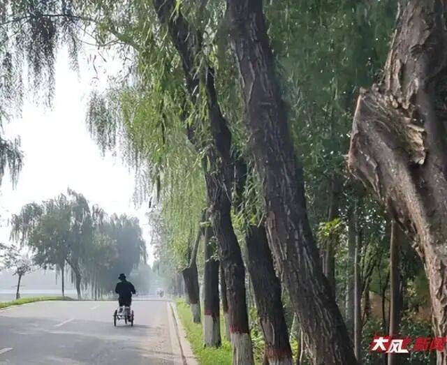 皇冠信用盘怎么弄_陕西兴平56岁女教师骑电动车“撞树枝”身亡皇冠信用盘怎么弄，交警判定担主责，家属提出诸多质疑，多方回应