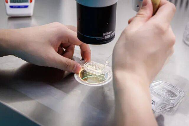 皇冠信用盘如何申请_一婴儿出生就15岁皇冠信用盘如何申请！被称为“最老婴儿”