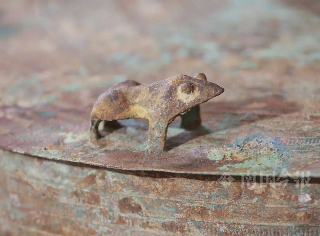 皇冠信用网登3代理_柳州钓鱼阿叔竹林挖蚯蚓皇冠信用网登3代理，竟挖出千年前的“大宝贝”！