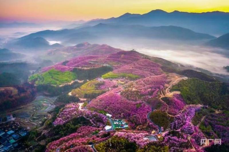 保加利亚 v 西班牙_200余场活动+多重福利 三明邀您“过年马上有福”