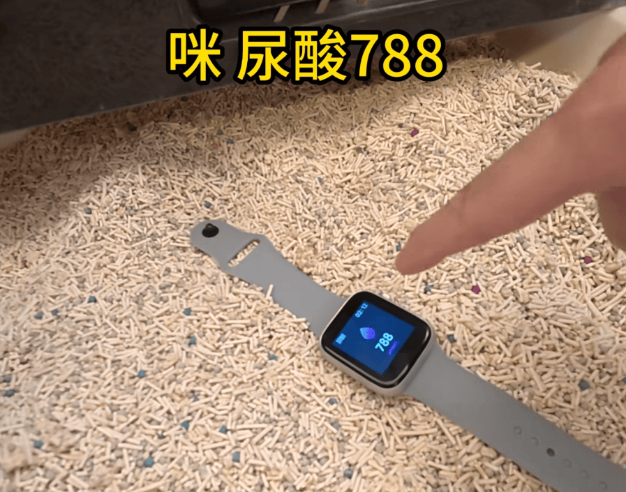 阿森纳vs利兹联_父母花84元网购“神奇手表”阿森纳vs利兹联，儿子发现能测万物：猫咪血糖5.9，吸尘器血糖7.4，父母：下次不买了