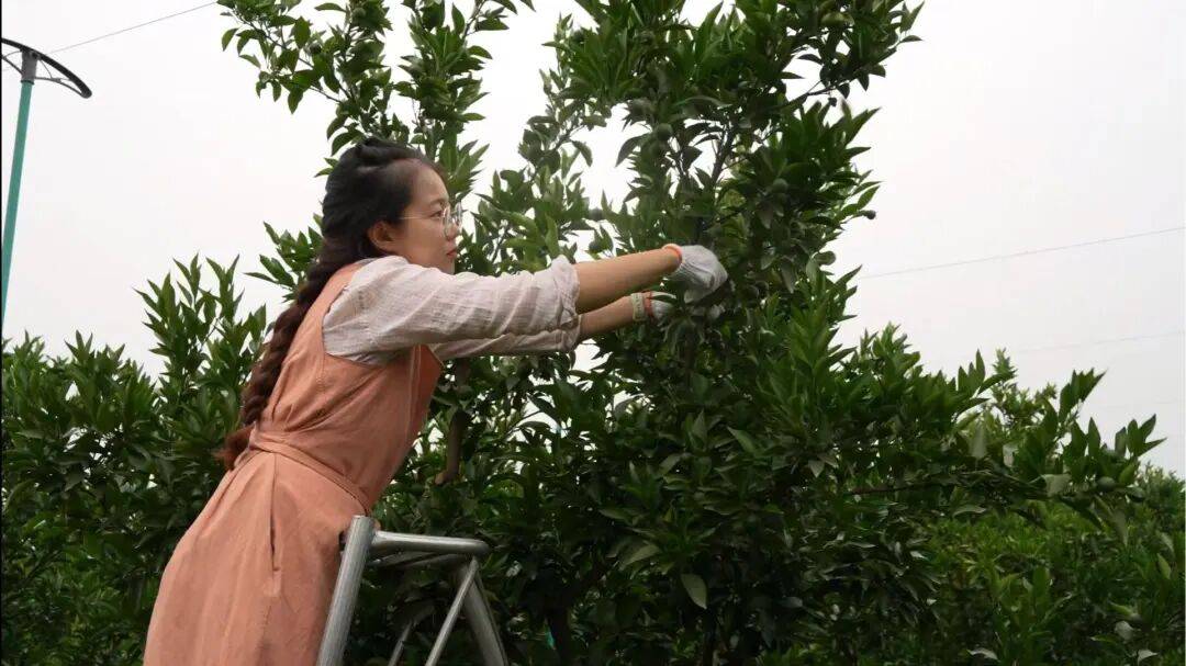 皇冠信用网出租足球_考研失败、工作失业皇冠信用网出租足球，95后情侣回成都换赛道火了，全网追着买！她说：不是爽文逆袭