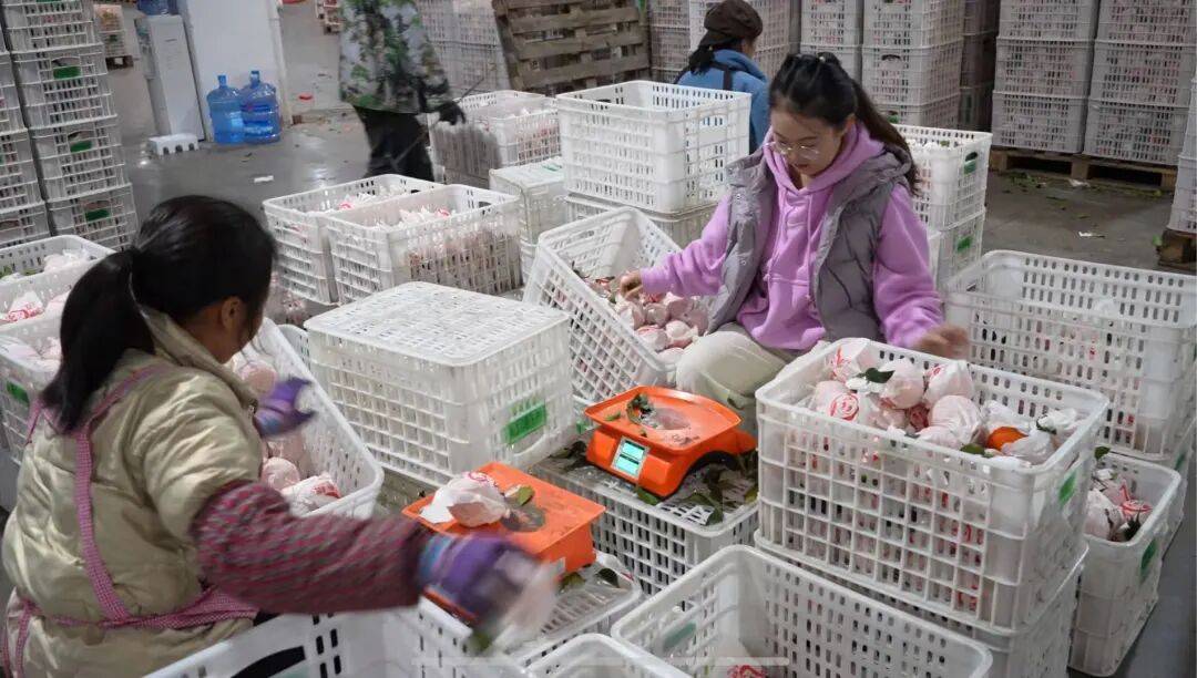 皇冠信用网出租足球_考研失败、工作失业皇冠信用网出租足球，95后情侣回成都换赛道火了，全网追着买！她说：不是爽文逆袭